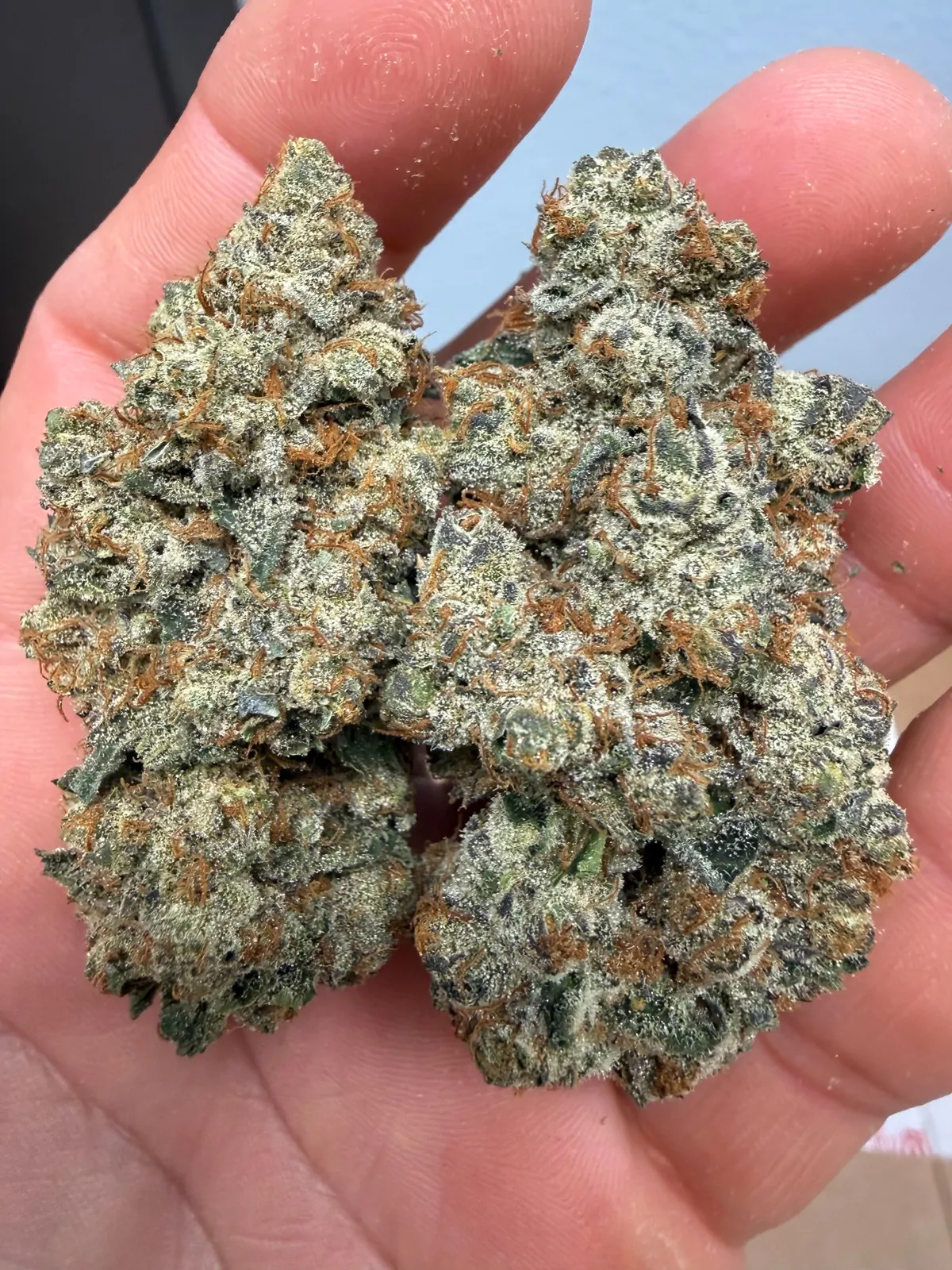Afghan Kush Flower